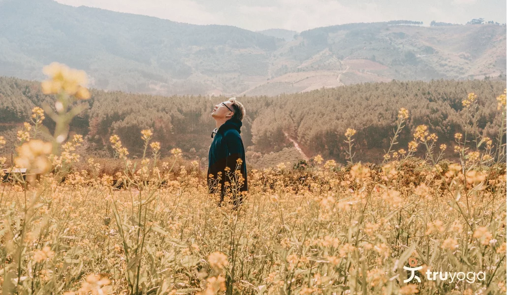 Медитация. День 11. Замечаем свое тело