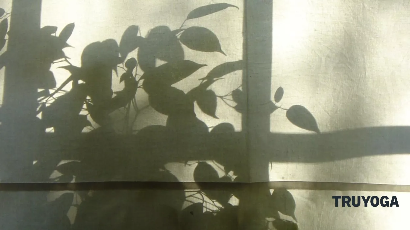 Медитация. Включиться в день и сосредоточиться на важном