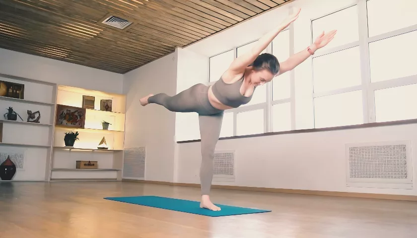 Йога. Сила в потоке виньяс