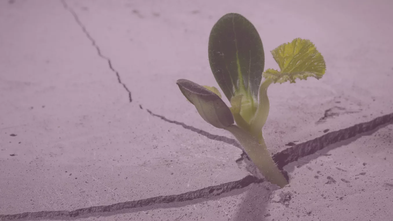 Медитация. Замечание приятного